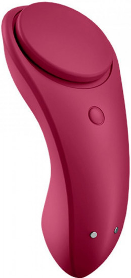 Satisfyer Sexy Secret Panty